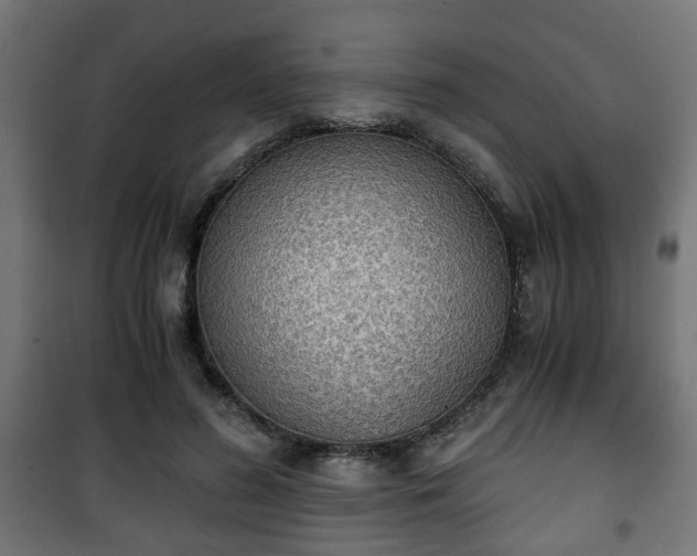 X0000101390596200807141135