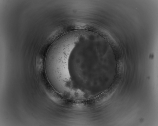 X0000101390598200807141134