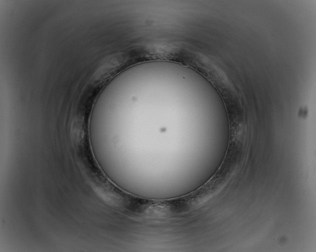 X0000101390599200807141134