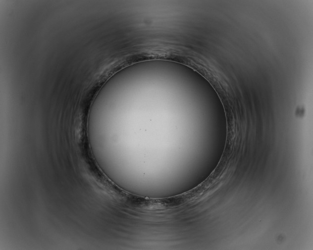 X0000101390600200807141134