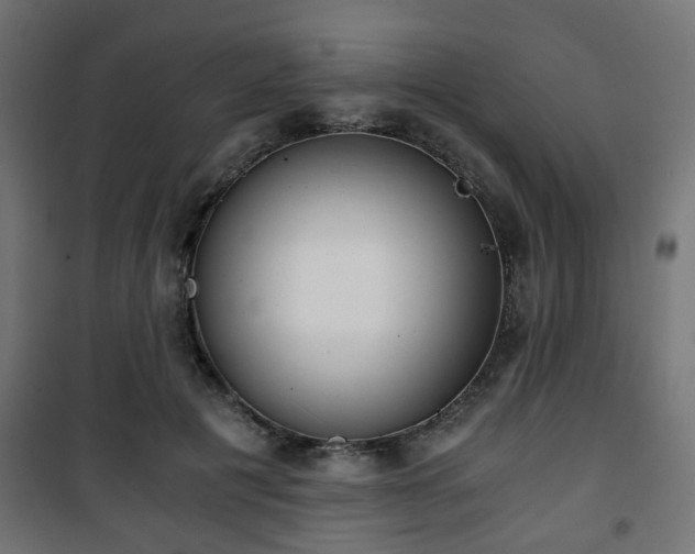 X0000101390601200807141134