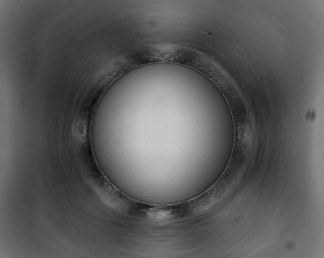 X0000101390602200807141134