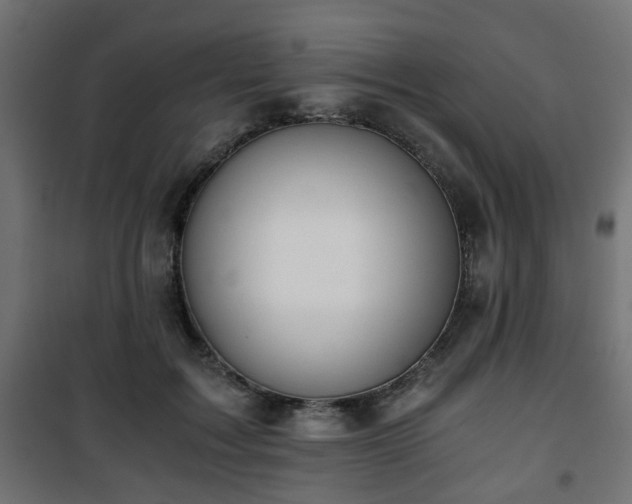 X0000101390603200807141134