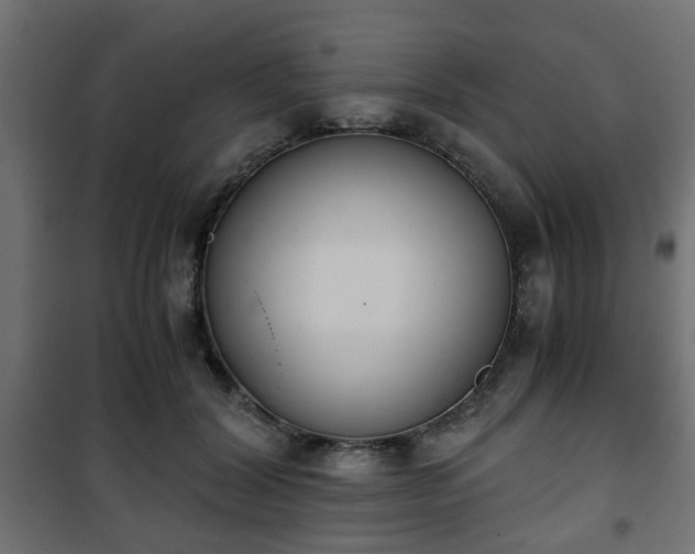 X0000101390604200807141134