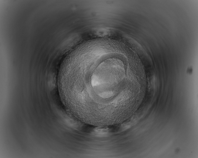 X0000101390606200807141134