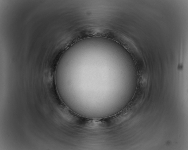 X0000101390607200807141134