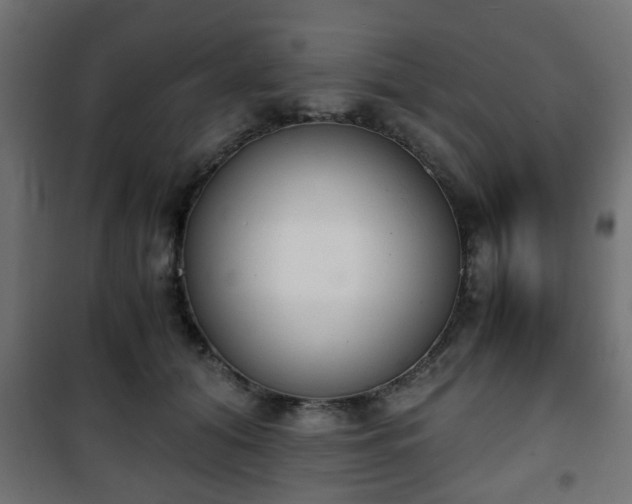 X0000101390608200807141134