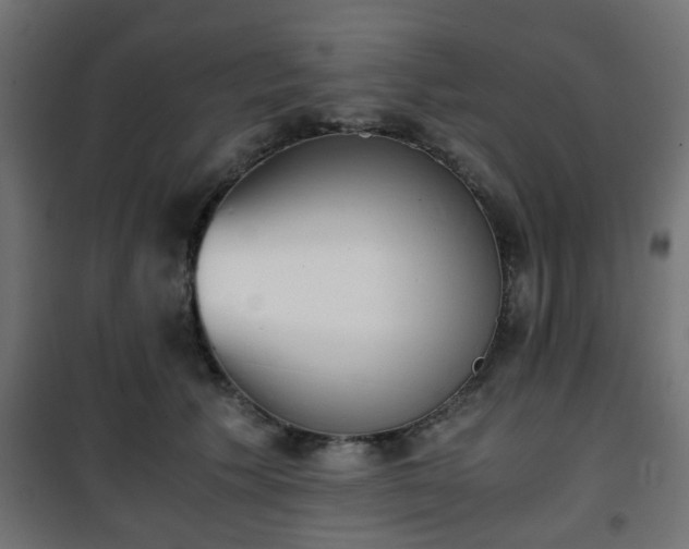 X0000101390609200807141134