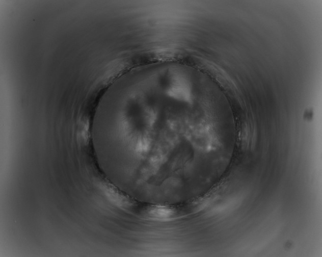 X0000101390610200807141134