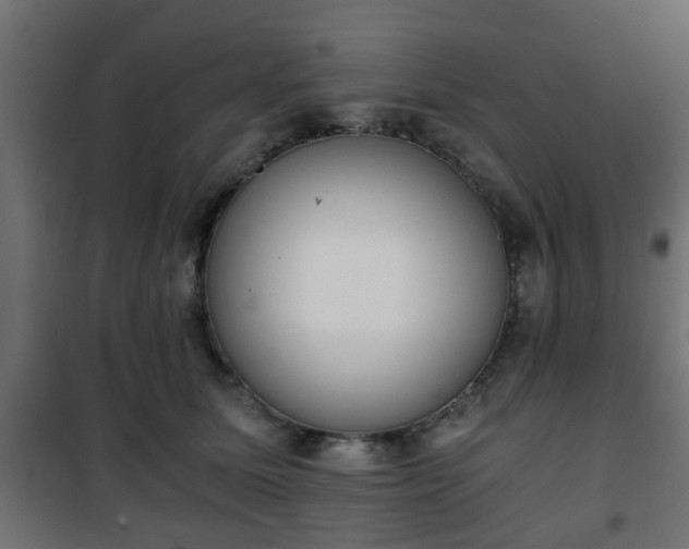 X0000101390611200807141134