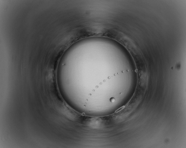 X0000101390612200807141134