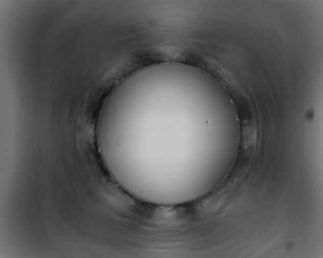 X0000101390613200807141134