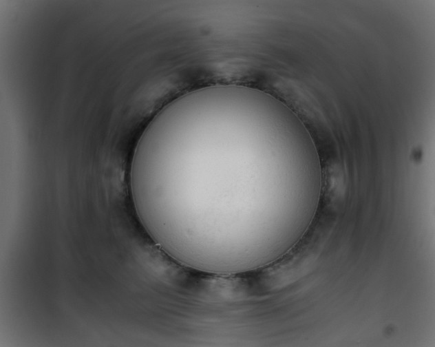 X0000101390615200807141134