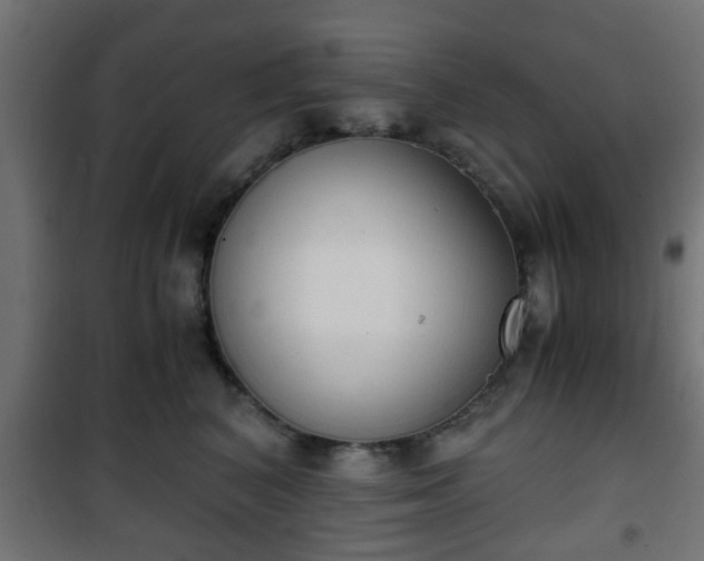 X0000101390616200807141134