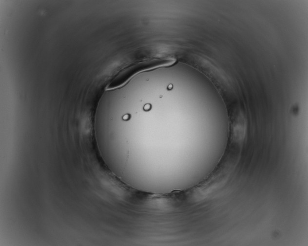 X0000101390620200807141134