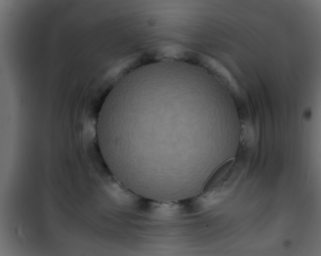 X0000101390621200807141134