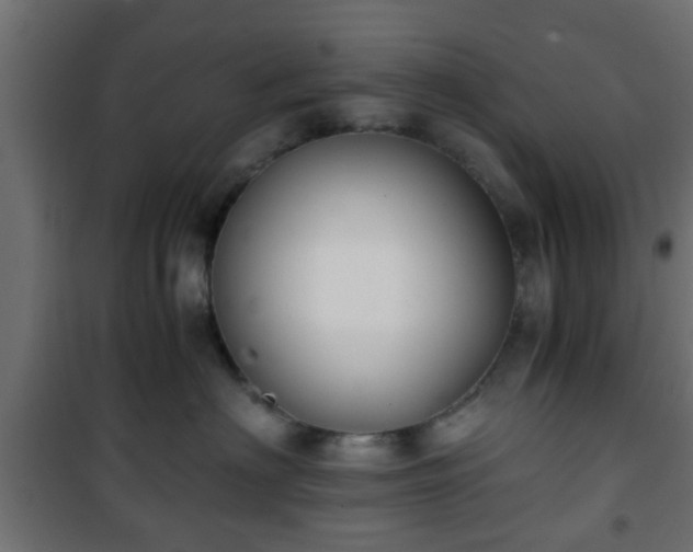 X0000101390622200807141134