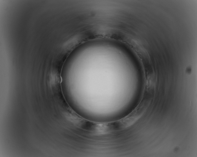 X0000101390623200807141134