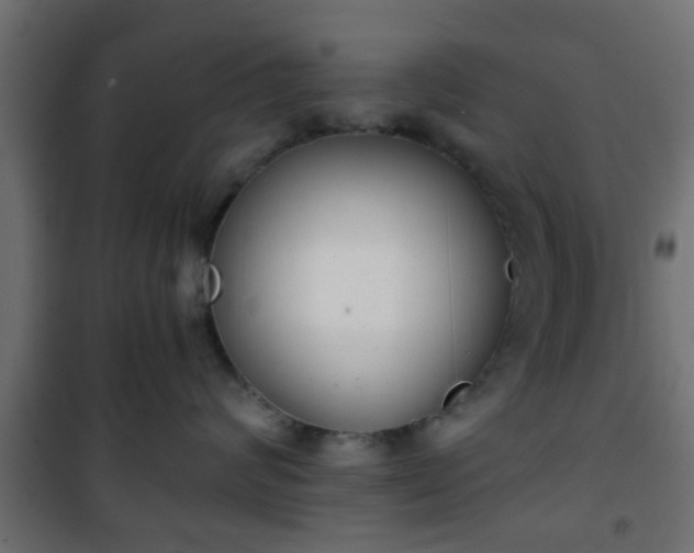 X0000101390624200807141134