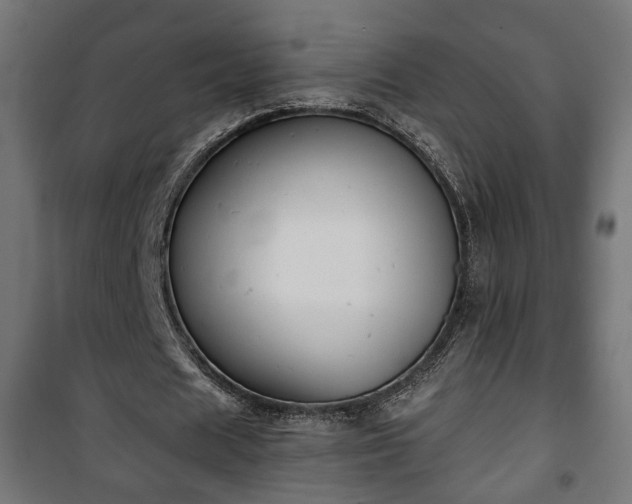 X0000101390625200807141133