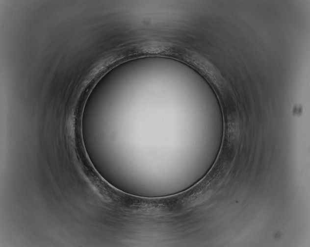 X0000101390626200807141133