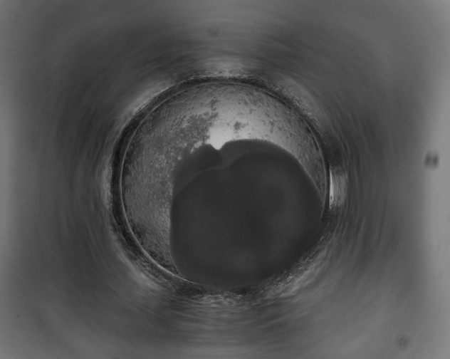 X0000101390627200807141133