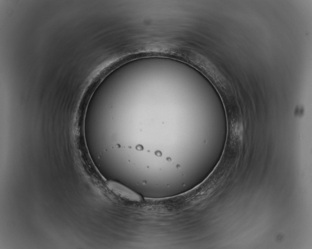 X0000101390628200807141133