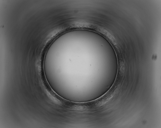 X0000101390629200807141133