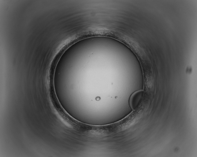 X0000101390630200807141134