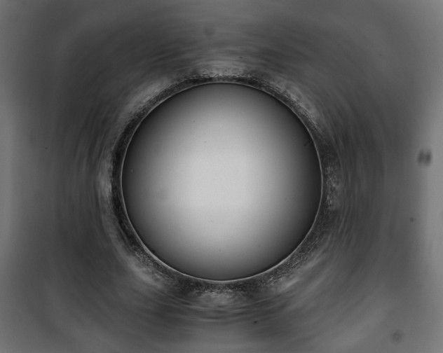 X0000101390631200807141134