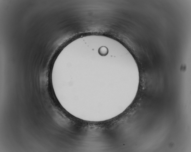 X0000101390632200807141134