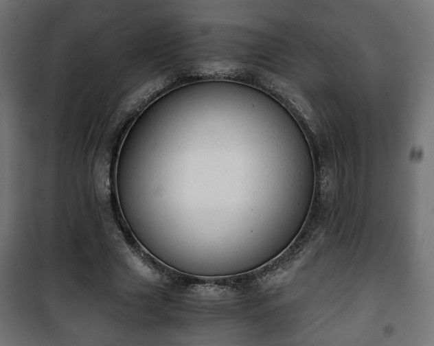 X0000101390633200807141134