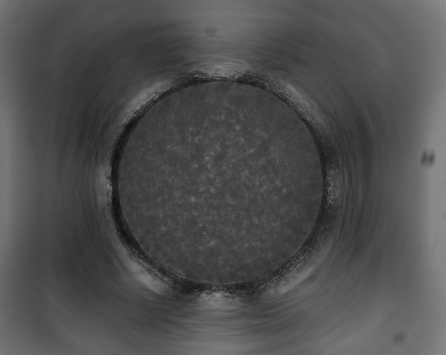 X0000101390634200807141134