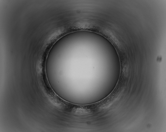 X0000101390635200807141134