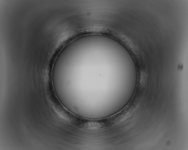 X0000101390636200807141134