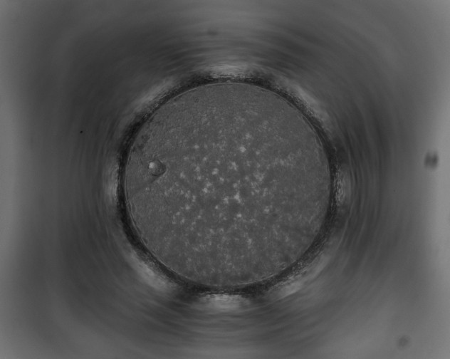 X0000101390637200807141134