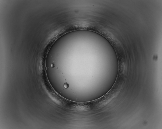 X0000101390638200807141134