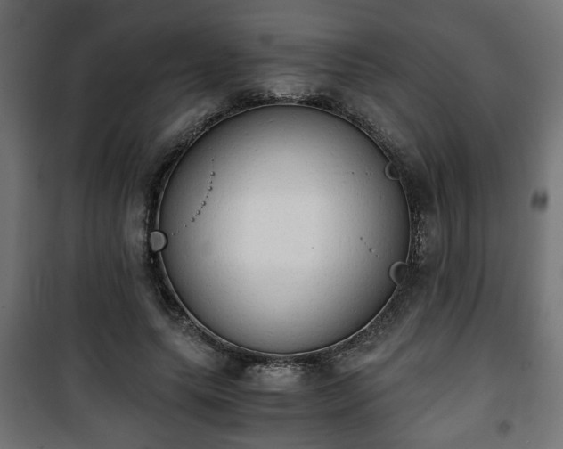 X0000101390639200807141134