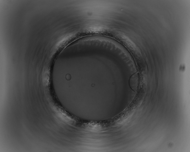 X0000101390640200807141134