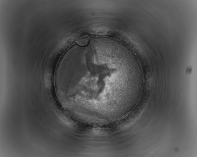 X0000101390641200807141134