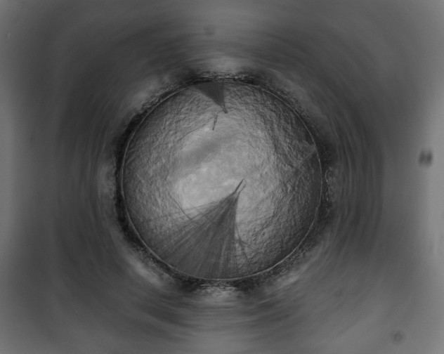 X0000101390642200807141134