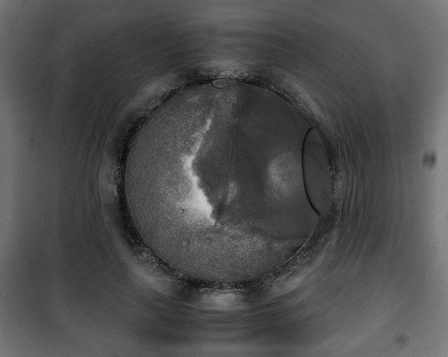 X0000101390643200807141134