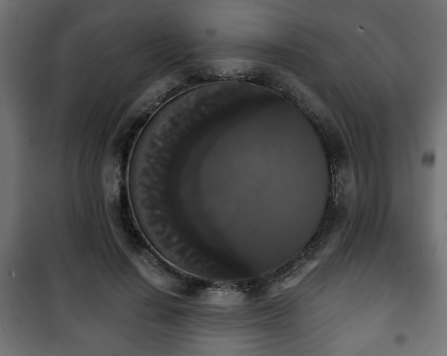 X0000101390644200807141134