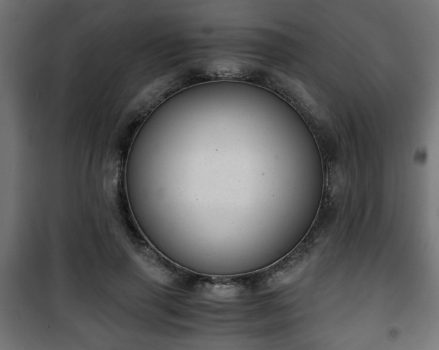 X0000101390645200807141134