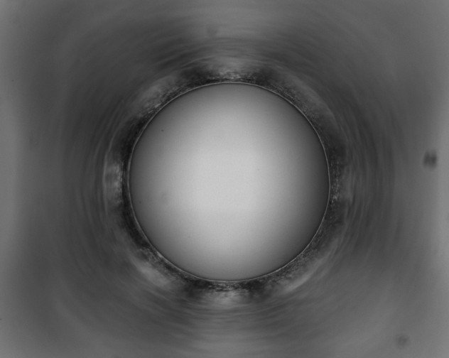 X0000101390646200807141134