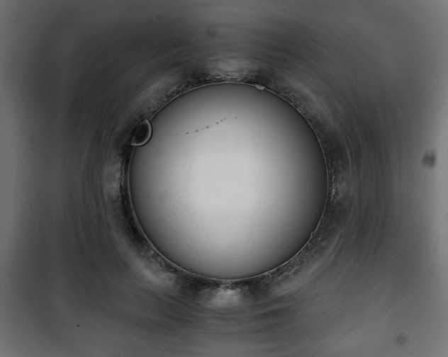 X0000101390647200807141134