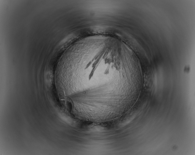 X0000101390648200807141134