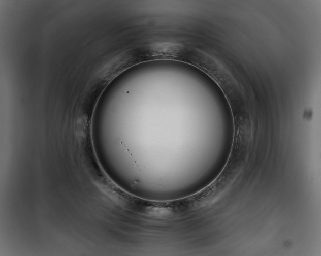 X0000101390649200807141134