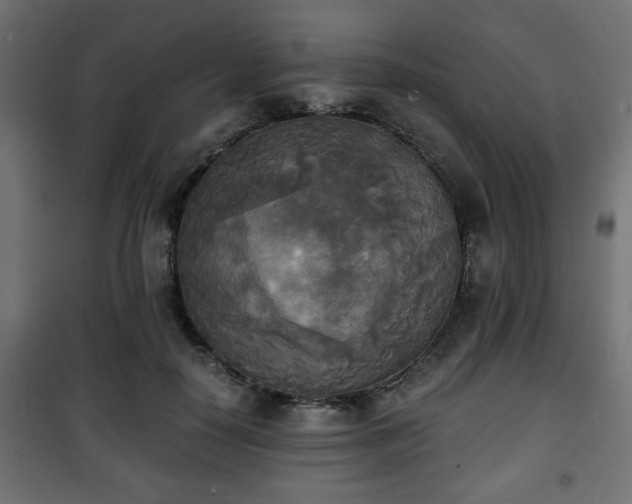 X0000101390650200807141134