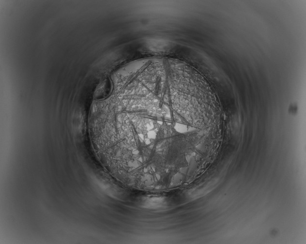 X0000101390651200807141134